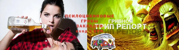 прущий лед Алексин