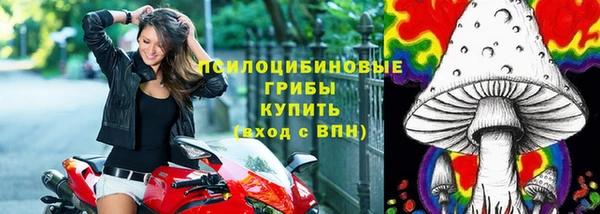 прущий лед Алексин
