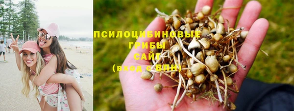 гидропоника Алексеевка